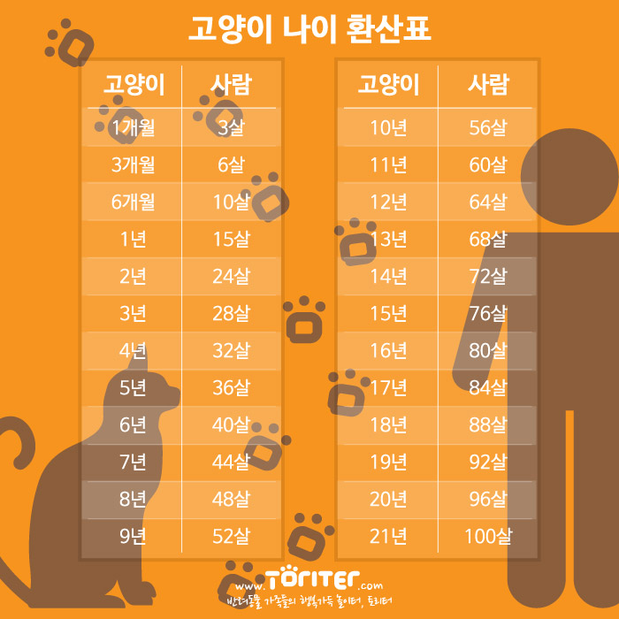 고양이와 사람의 나이.jpg | 인스티즈