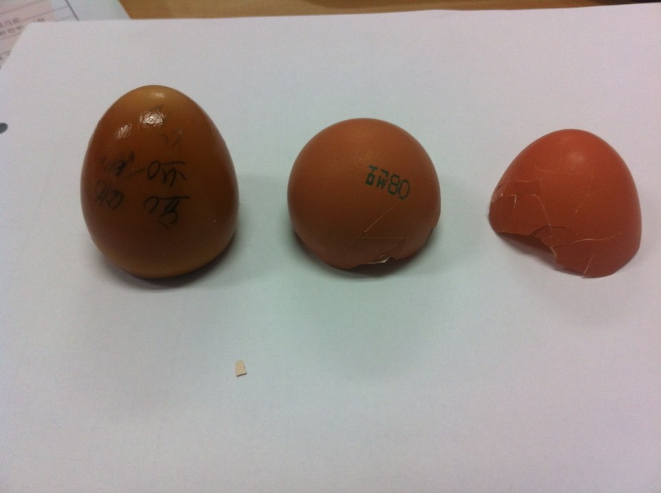 계란에 글씨가...2차 사진..ㅠ.ㅠ | 인스티즈