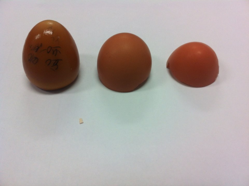 계란에 글씨가...2차 사진..ㅠ.ㅠ | 인스티즈