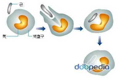 가장 작은 물질부터 우주까지 | 인스티즈