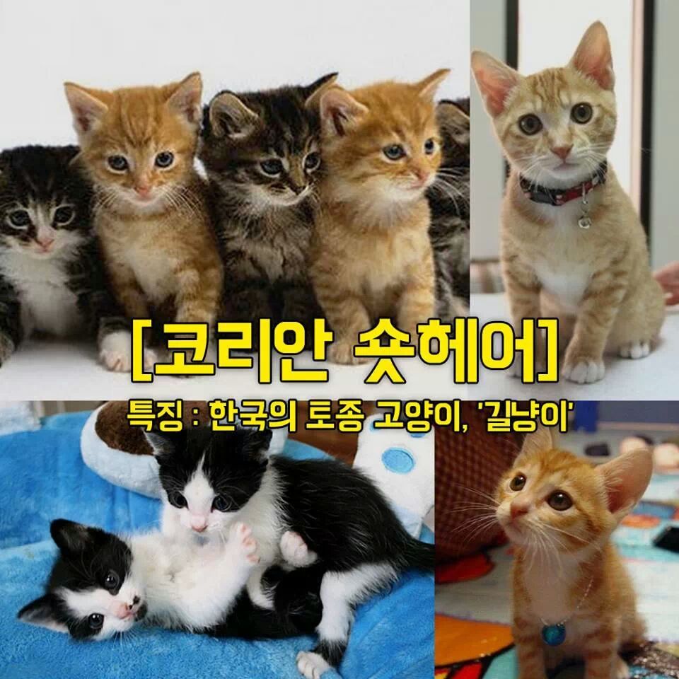 원본 크기로 보시려면 그림을 클릭하세요.