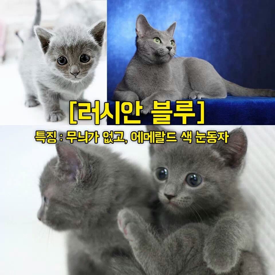 원본 크기로 보시려면 그림을 클릭하세요.