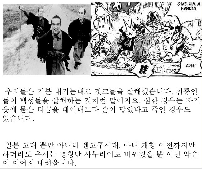 원피스를 우익만화라 주장하시는 분께 이 글을 보여주십시요 | 인스티즈