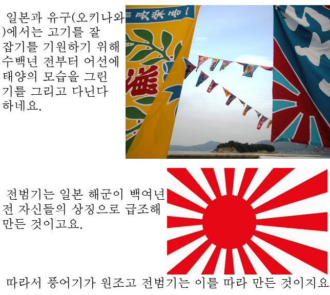 원피스를 우익만화라 주장하시는 분께 이 글을 보여주십시요 | 인스티즈