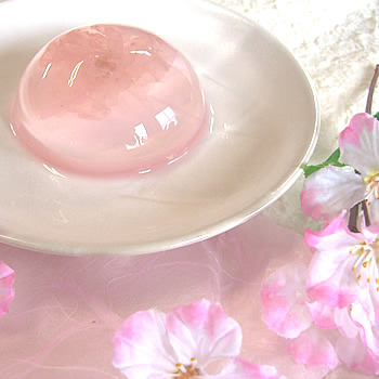 먹기 아까운 벚꽃 젤리.jpg | 인스티즈
